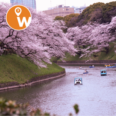 VISIT TOKYO